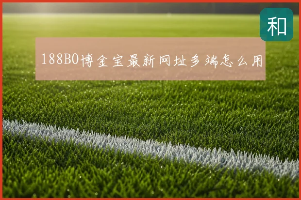 188BO博金宝最新网址多端怎么用